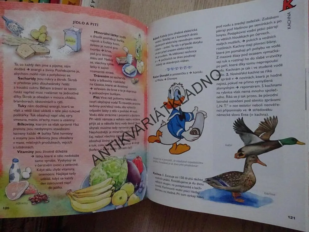 DĚTSKÝ LEXIKON, **an