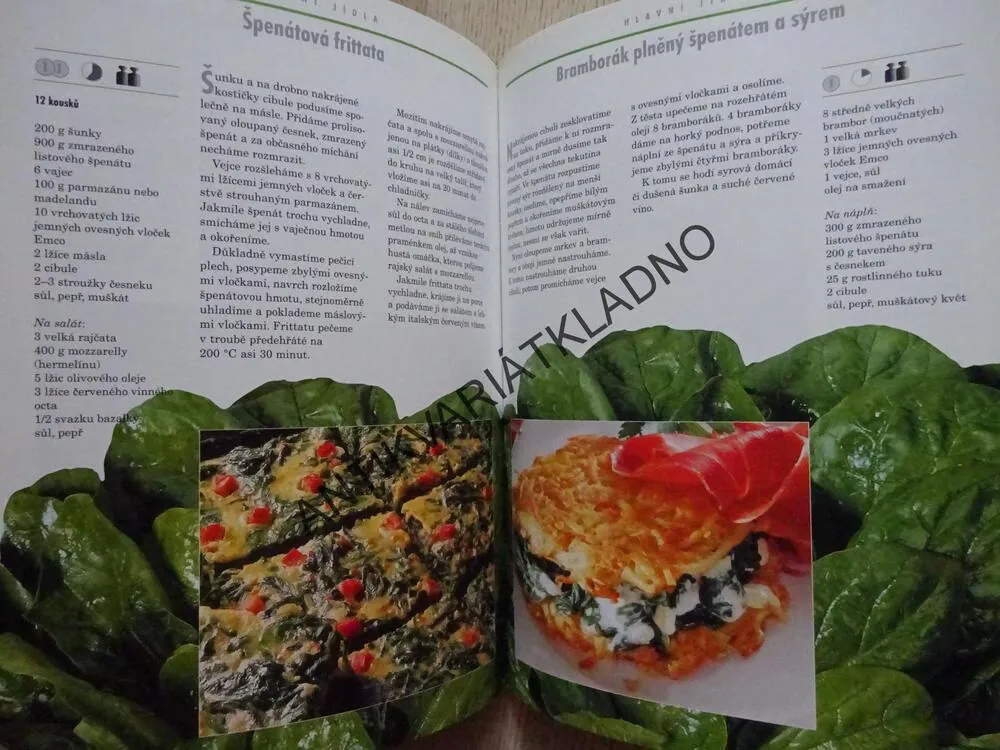 KUCHAŘŮV ROK: JARO, **an
