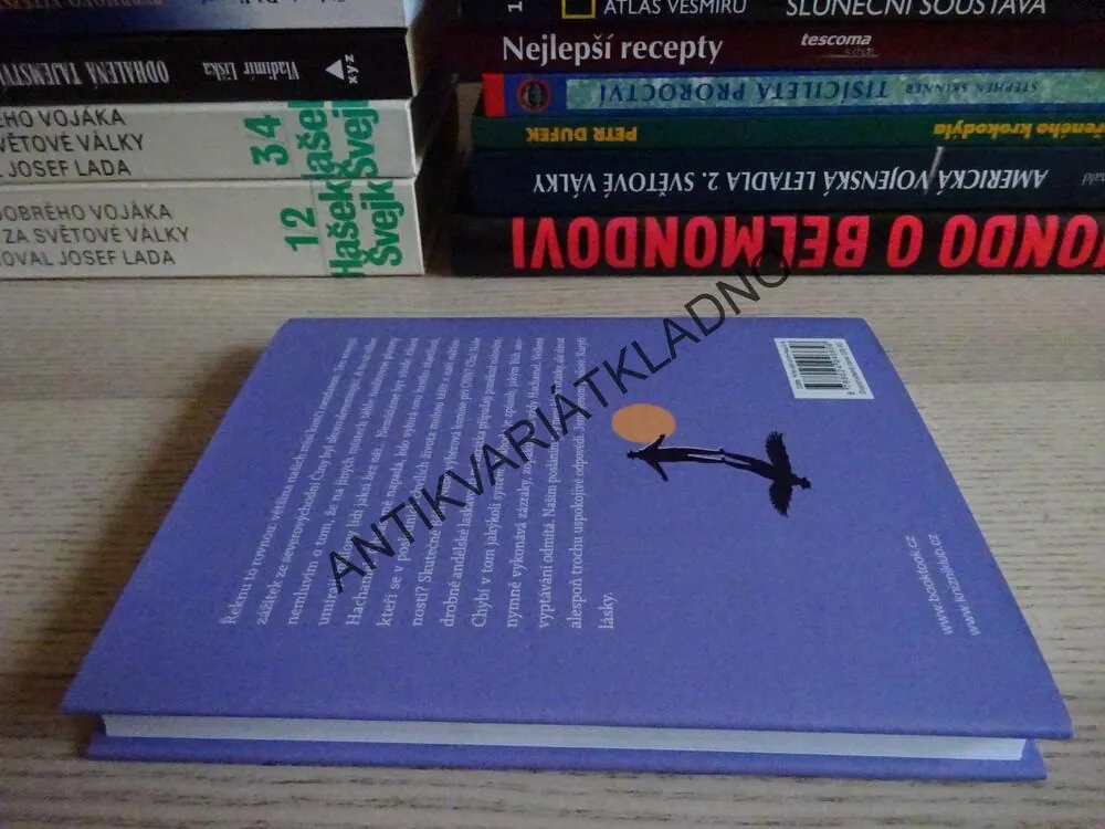 ANDĚLÉ VŠEDNÍHO DNE, MICHAL VIEWEGH, **an