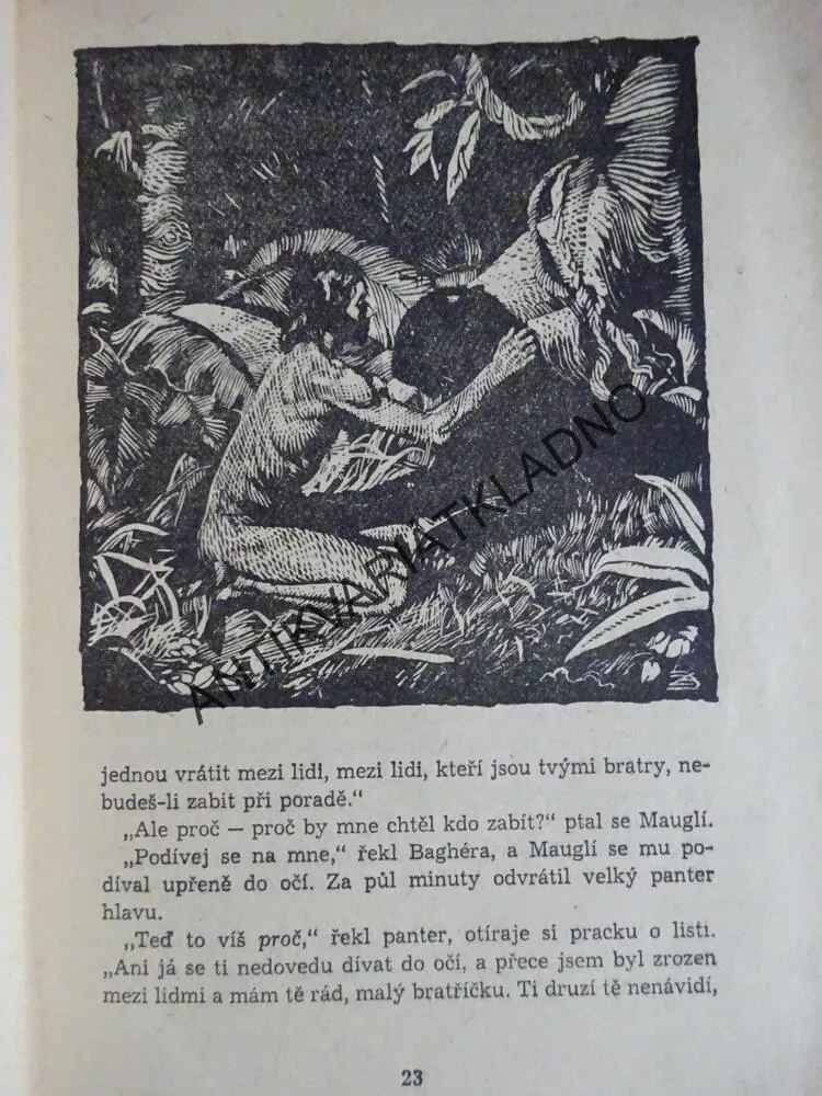MAUGLÍ, RUDYARD KIPLING, ZDENĚK BURIAN,  **an