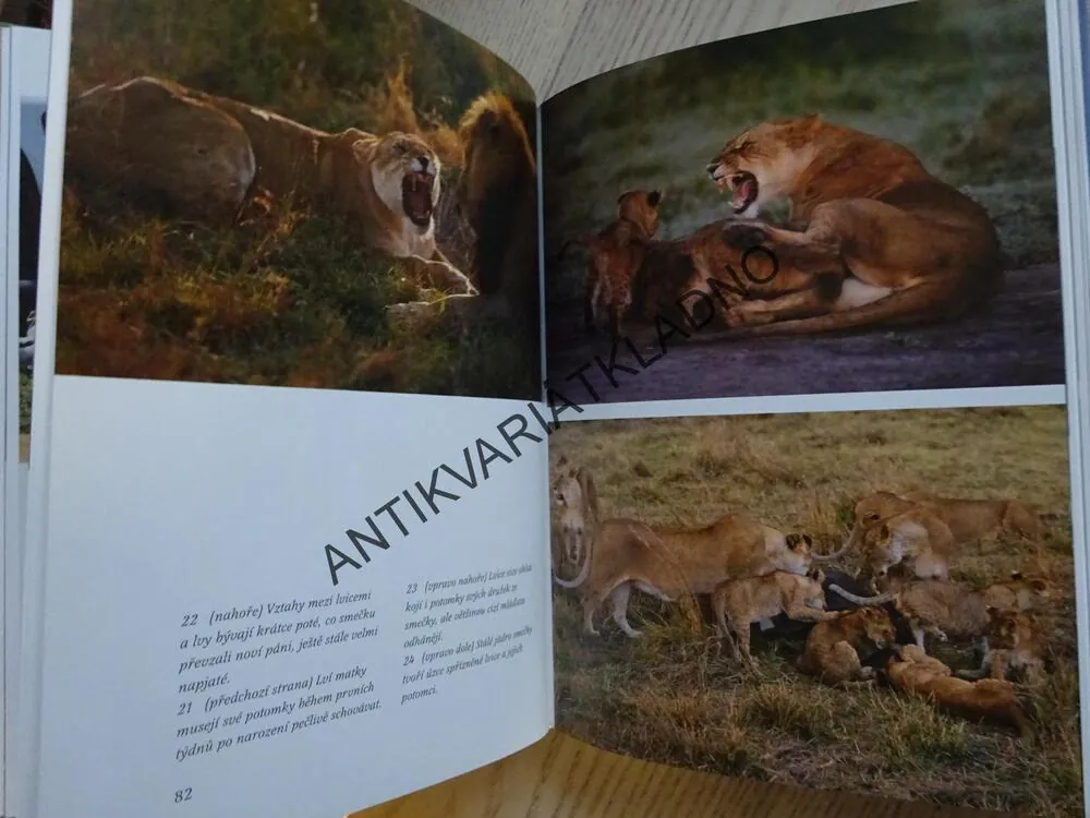 SERENGETI, POHLED DO AFRICKÉ DIVOČINY, REINHARD RADKE, **an