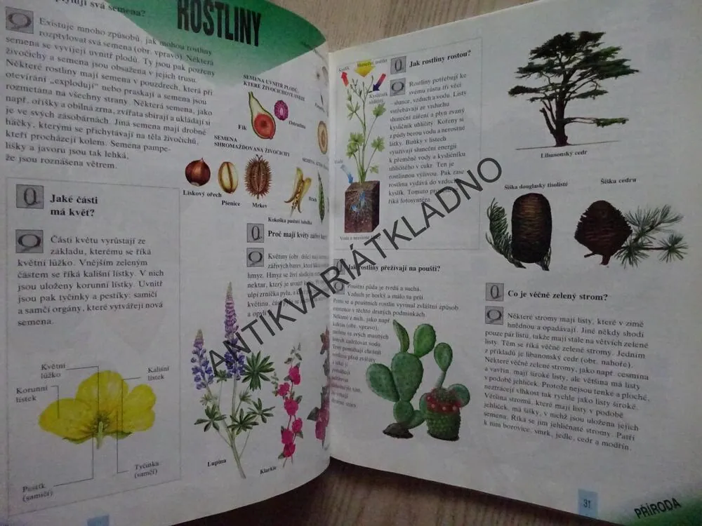 VELKÁ KNIHA OTÁZEK A ODPOVĚDÍ, **an