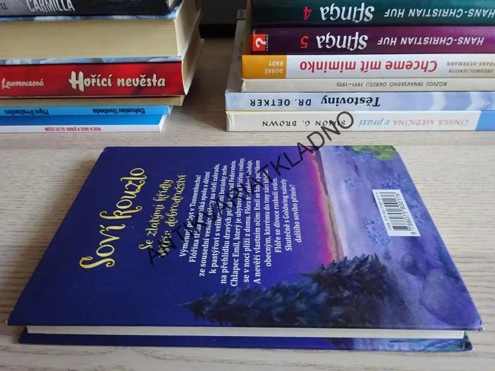SOVÍ KOUZLO, NOVÝ KAMARÁD PRO GOLDWING, INA BRANDTOVÁ, **an