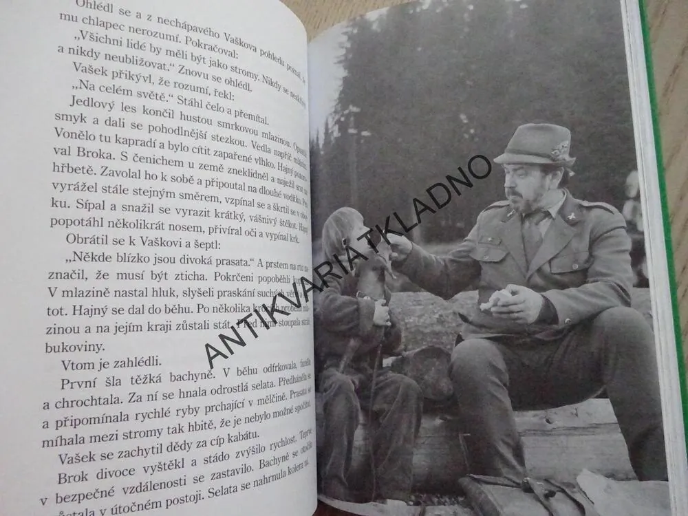 POD JEZEVČÍ SKÁLOU, JOSEF POHL, **an