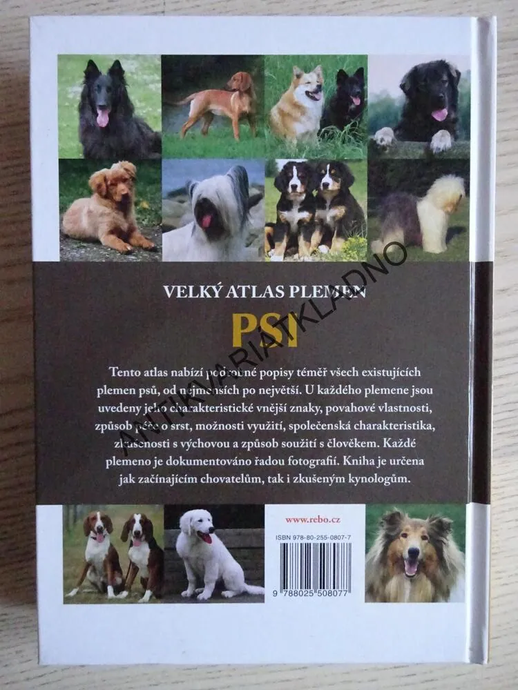 VELKÝ ATLAS PLEMEN, PSI, VERHOEF-VERHALLEN, **an