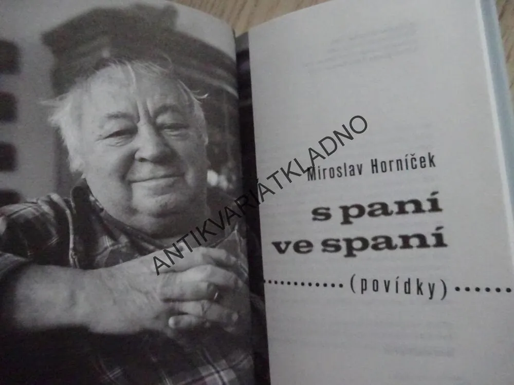 SPANÍ VE SPANÍ, MIROSLAV HORNÍČEK, **an