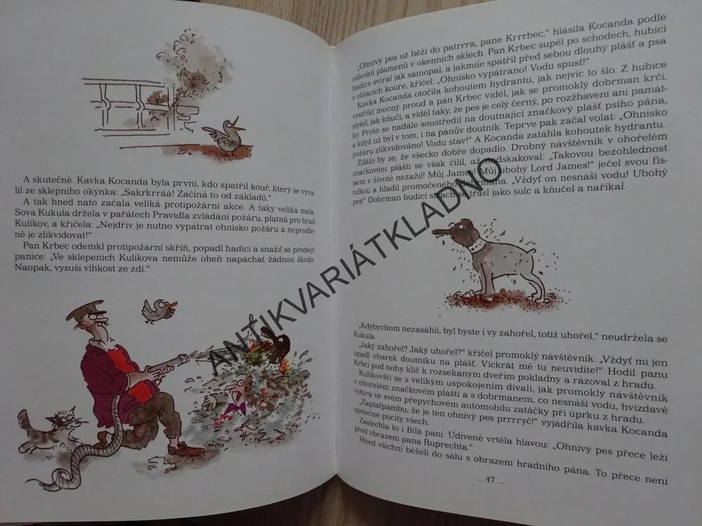 STRAŠIDLA NA KULÍKOVĚ, PETR CHVOJKA, STANISLAV HAVELKA, **an