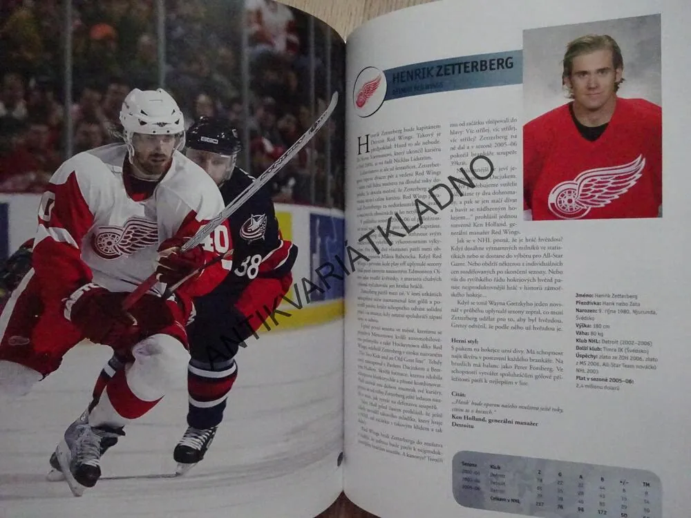 HVĚZDY NHL 2007, ČEŠI A SLOVÁCI V SEZONĚ 2005-06, LEDNÍ HOKEJ, **an