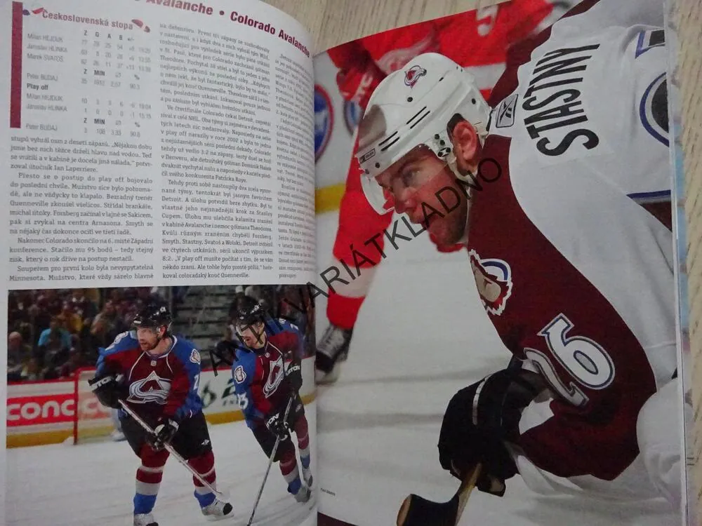KLUBY NHL 2009, LUBOŠ BRABEC, LEDNÍ HOKEJ, **an