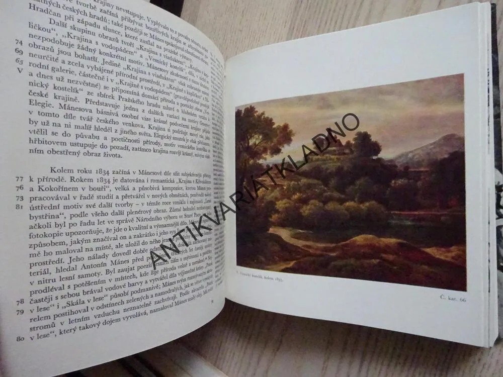 ANTONÍN MÁNES, EVA REITHAROVÁ, **an