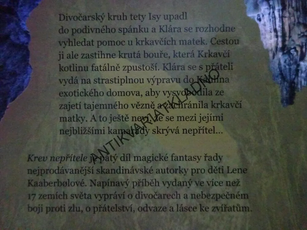 DIVOČARKA, KREV NEPŘÍTELE, LENE KAABERBOLOVÁ, **an