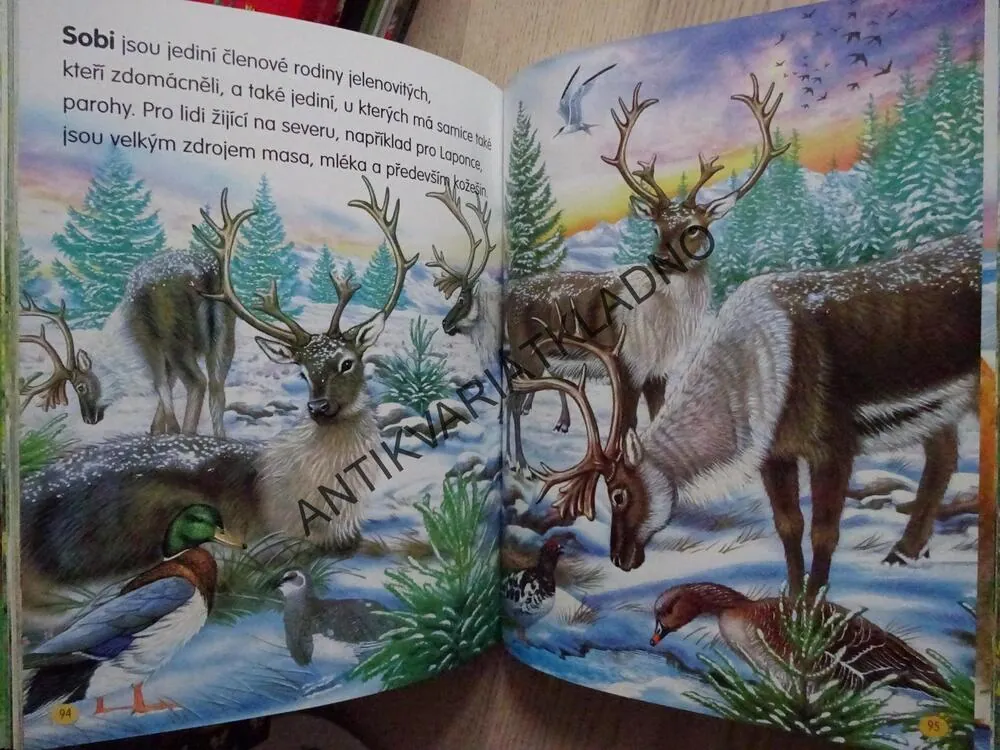 VELKÁ KNIHA, ZVÍŘATA CELÉHO SVĚTA, **an
