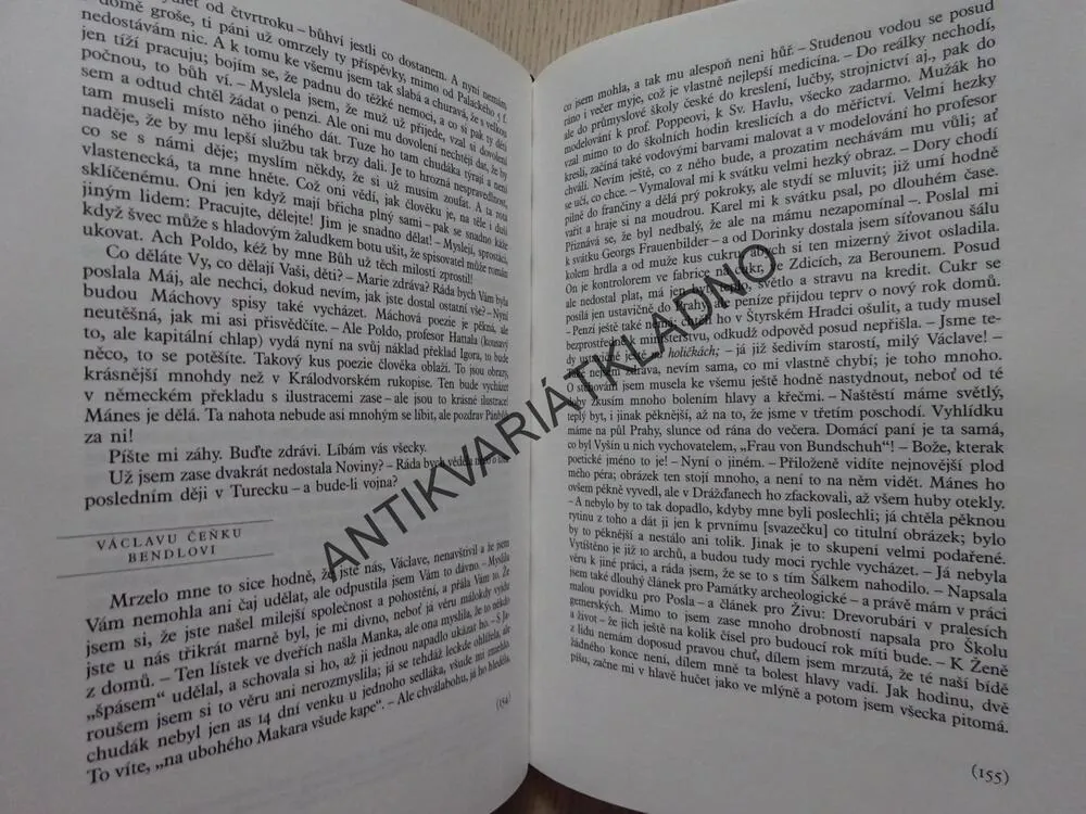 LAMENTACE, DOPISY MUŽŮM, BOŽENA NĚMCOVÁ