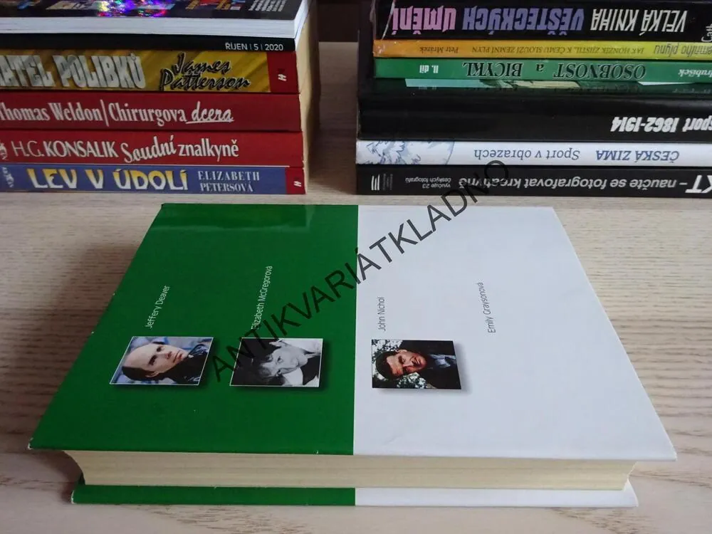 PRÁZDNÉ KŘESLO - DEAVER, DÍTĚ LEDU - MCGREGOROVÁ, JASNÝ CÍL - NICHOL, OBSERRVATOŘ - GRAYSONOVÁ, **an