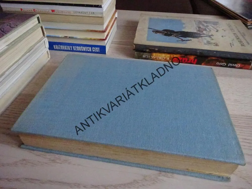 MIKEŠ, JOSEF LADA, **an