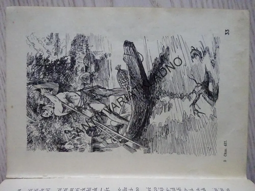 BRONZOVÝ POKLAD, EDUARD ŠTORCH, **an
