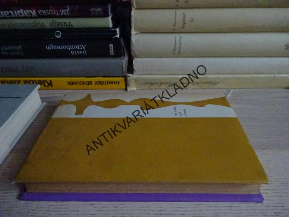 PÝCHA A PŘEDSUDEK, JANE AUSTENOVÁ, **an