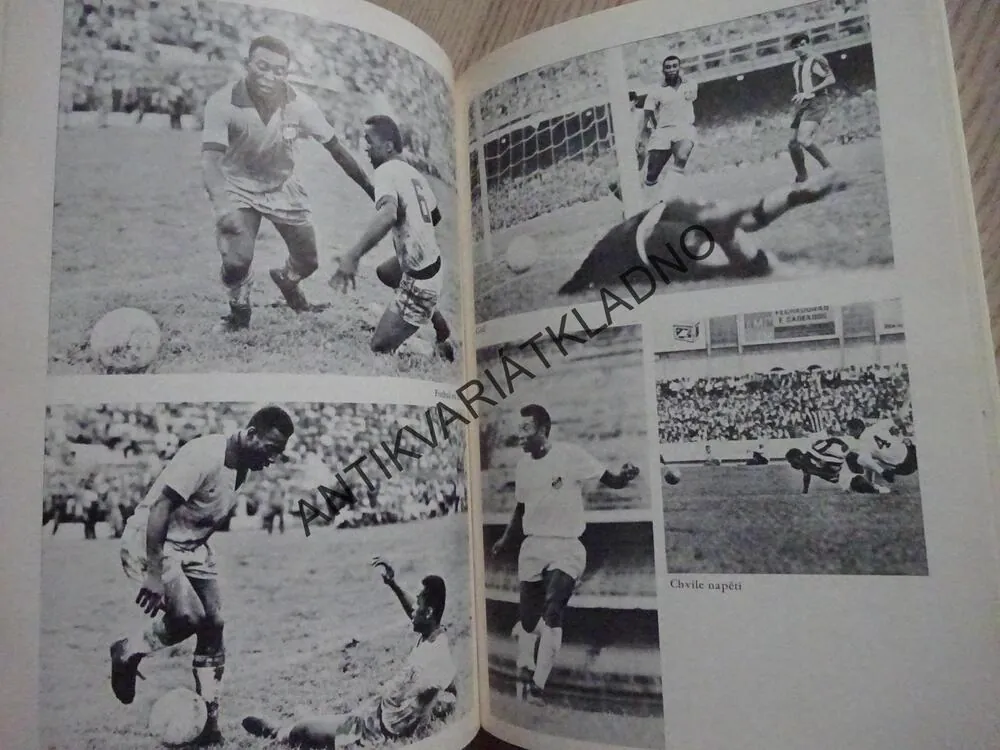 PELÉ, MŮJ ŽIVOT A NEJKRÁSNĚJŠÍ HRA, ROBERT L.FISH, **an