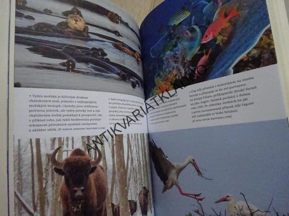 DAVID ATTENBOROUGH, MÉ SVĚDECTVÍ A VIZE PRO BUDOUCNOST, ŽIVOT NA NAŠÍ PLANETĚ, **an