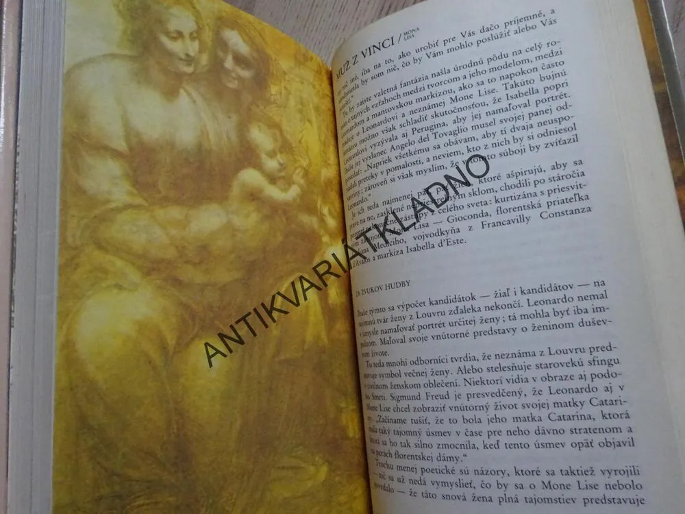 MUŽ Z VINCI, FRANTIŠEK JÍLEK, LEONARDO DA VINCI, VÝTVARNÉ UMĚNÍ, SLOVENSKY, **an