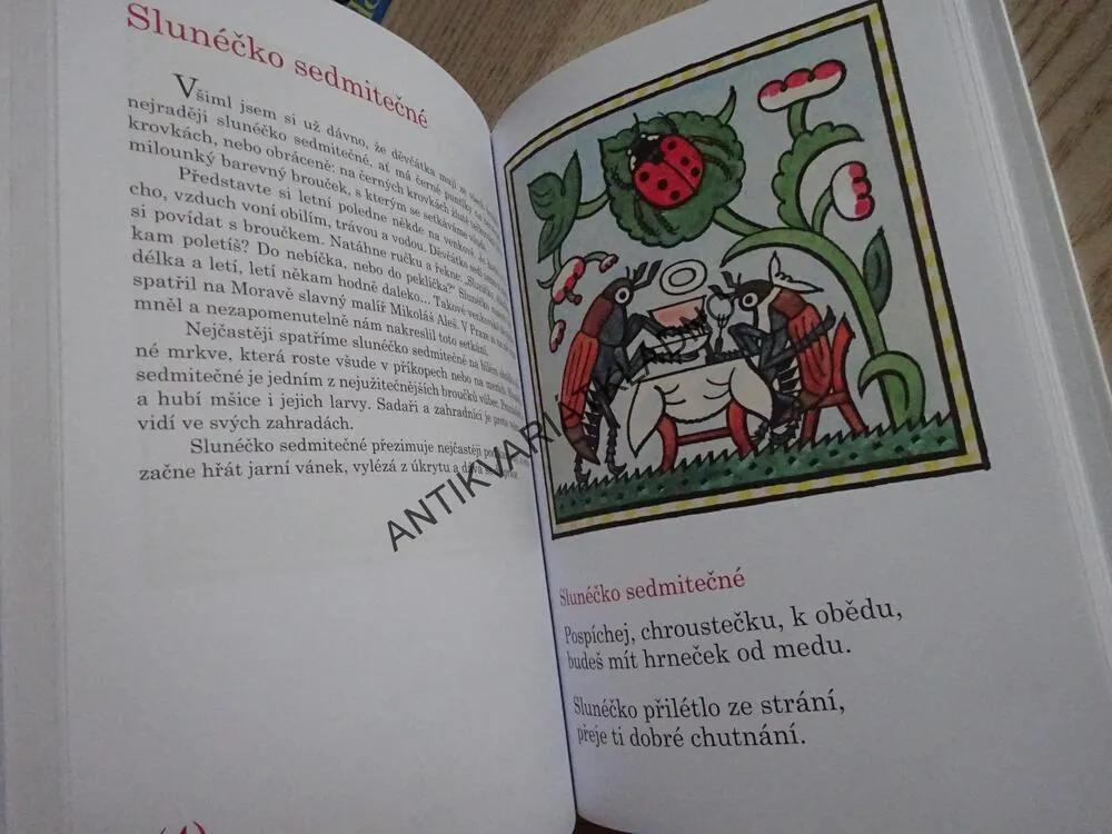 SAVCI, PTÁCI, BROUCI A HMYZ, LADOVY VESELÉ UČEBNICE, LADA, STEHLÍK, **an