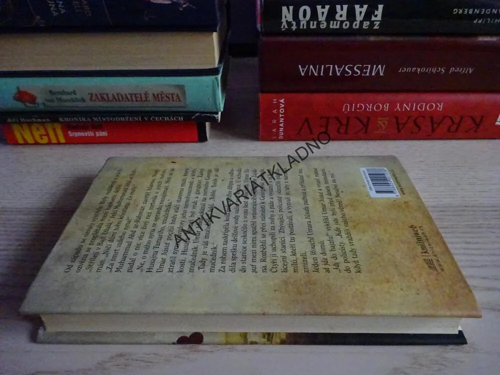 BETLÉMSKÉ VRAŽDY, MATT BEYNON REES, **an