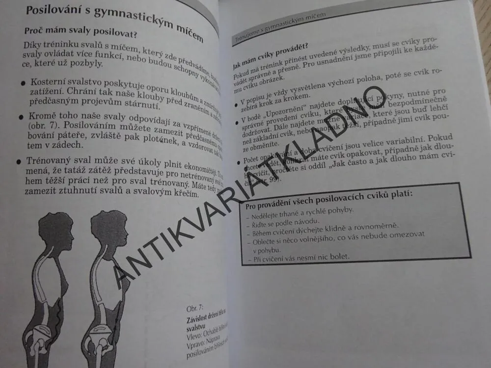 CVIČÍME S GYMNASTICKÝM MÍČEM, SUSANNE THIERFELDEROVÁ, NORBERT PRAXL, **an