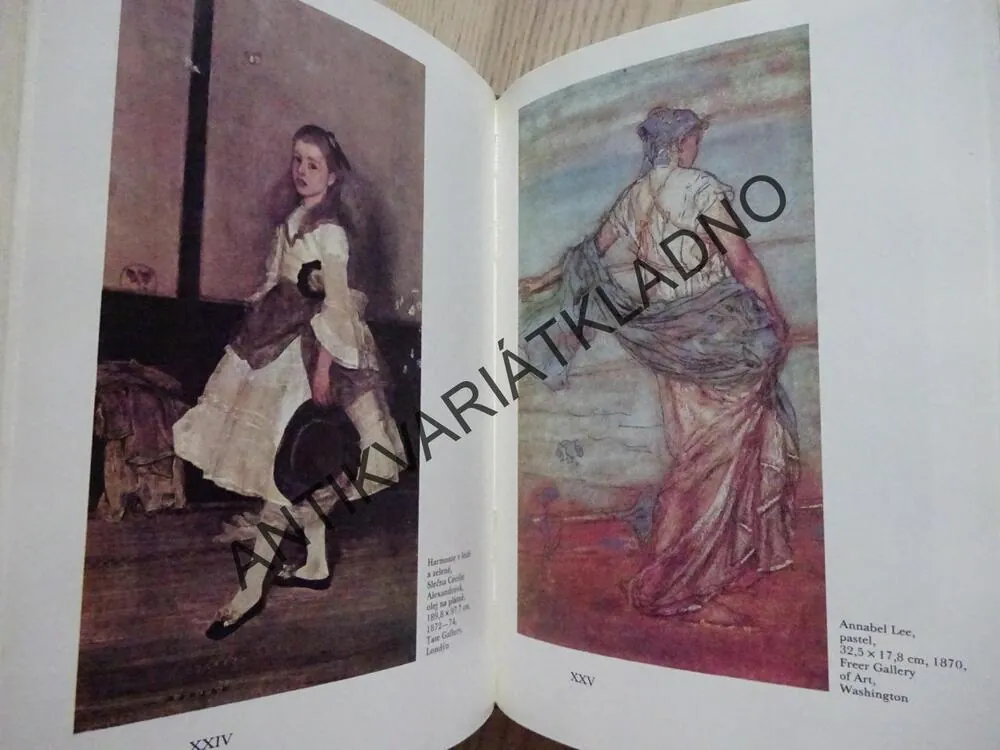 WHISTLER, ŽIVOT MALÍŘE, STANLEY WEINTRAUB, **an