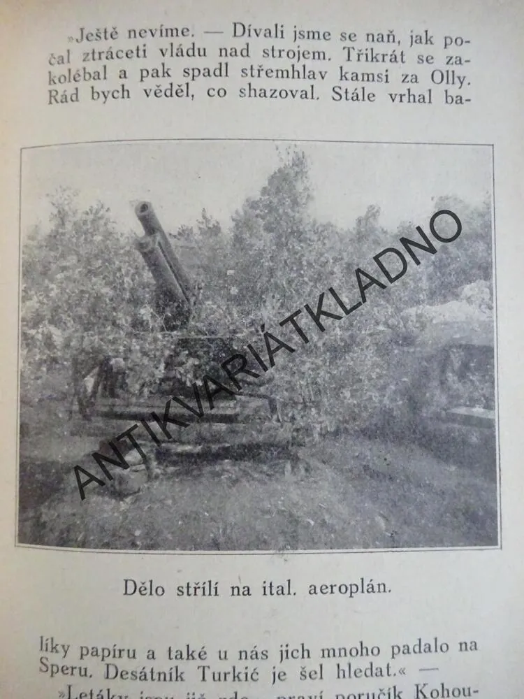 CARZANO, LJUDEVIT PIVKO, **an