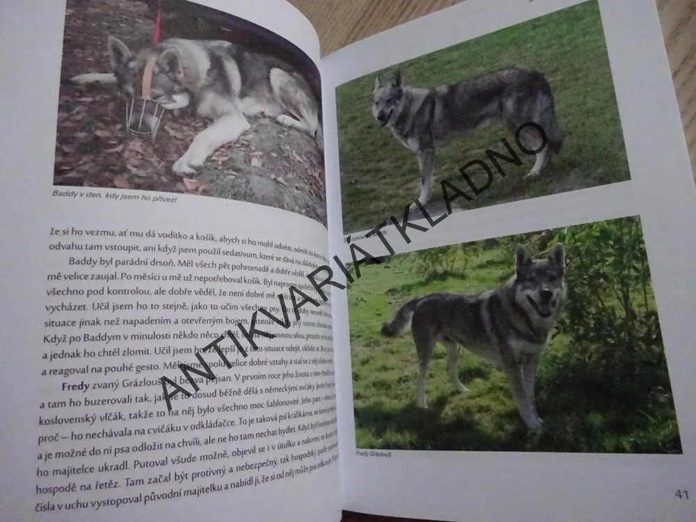 JAK POZNAT PSÍ DUŠI, RUDOLF DESENSKÝ, **an