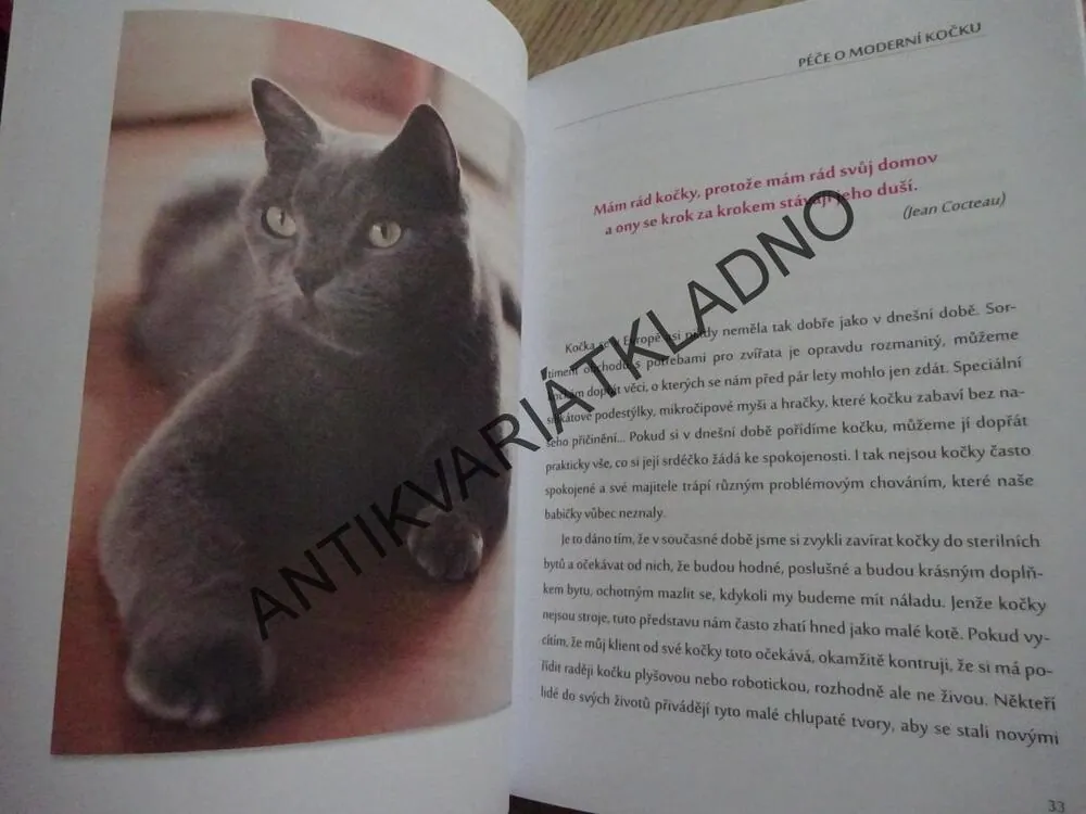 ČLOVĚK V KOČIČÍM SVĚTĚ, KLÁRA NEVEČEŘALOVÁ VODIČKOVÁ, **an