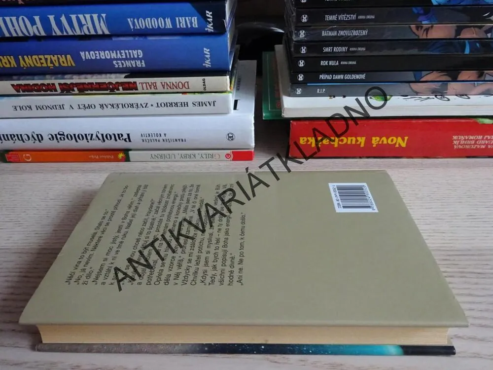 ELEKTRICKÝ BŮH, CATHERINE RYAN HYDEOVÁ, **an