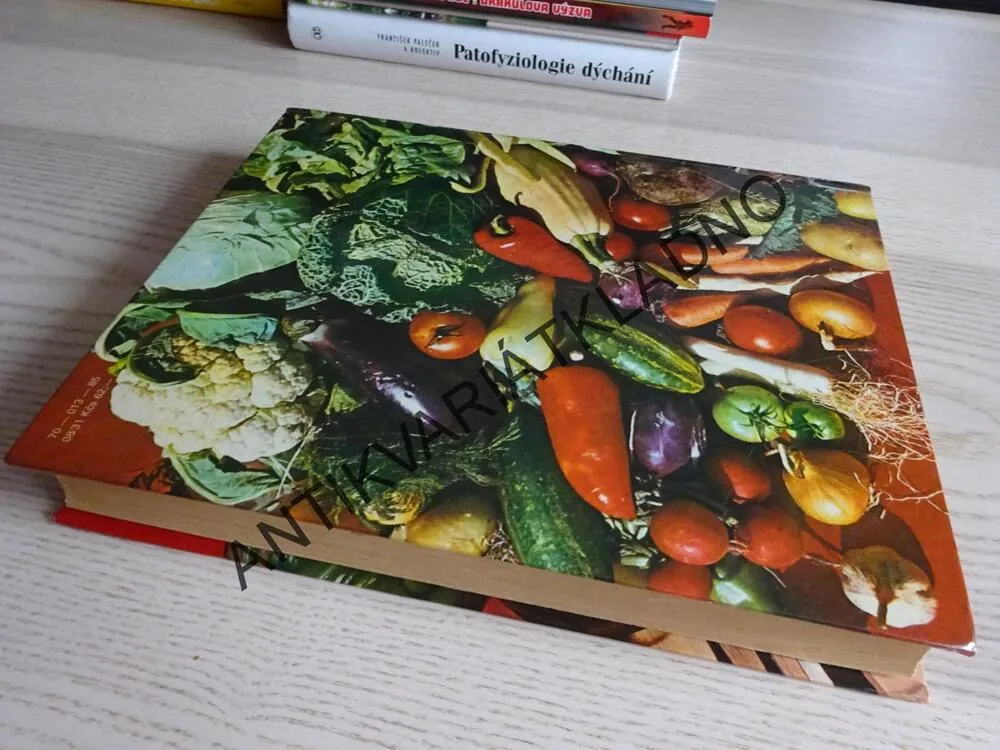 NOVÁ KUCHAŘKA, MAZUROVÁ, BRHLÍK, ROMAŇUK, **an