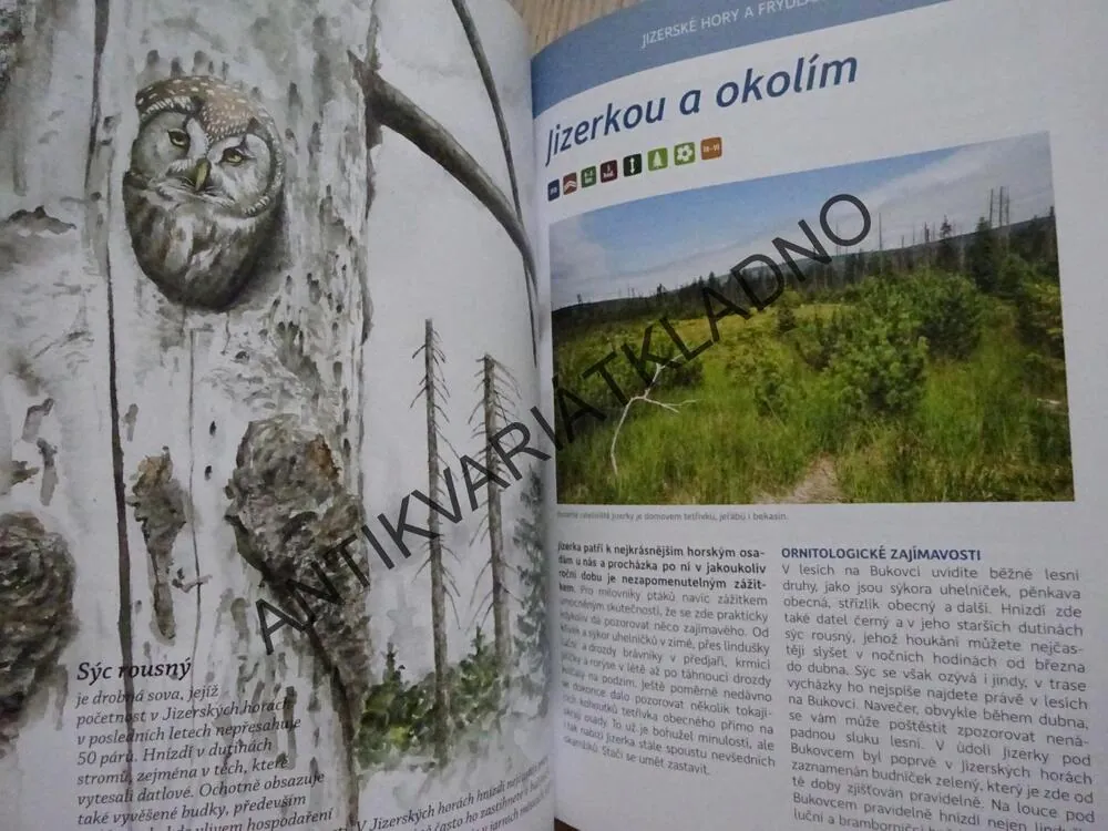 KAM ZA PTÁKY V ČESKÉ REPUBLICE, ALENA KLVAŇOVÁ A KOLEKTIV, **an