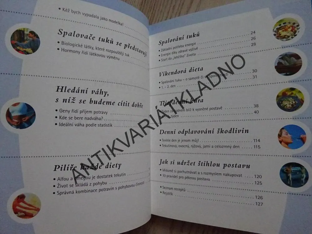 DIETA NA SPALOVÁNÍ TUKŮ, FATBURNER, CHRISTINA ZACKEROVÁ, SONJA MUTTEROVÁ, **an