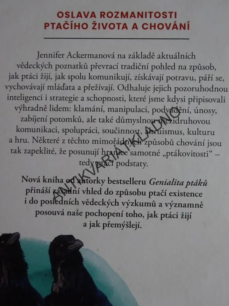 PTAČÍ ZPŮSOBY, JENNIFER ACKERMANOVÁ, **an