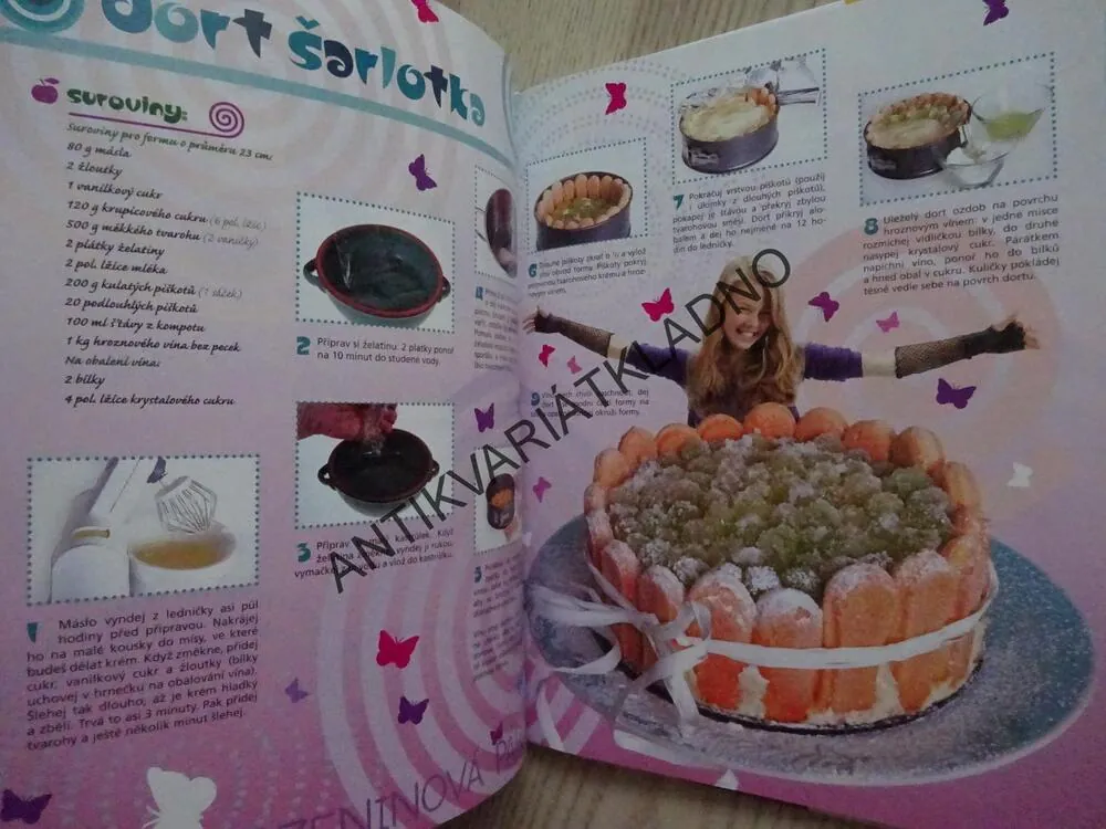 PÁRTY KUCHAŘKA PRO KLUKY A HOLKY PODLE ČARODĚJKY BORŮFKY, HELENA RYTÍŘOVÁ, **an