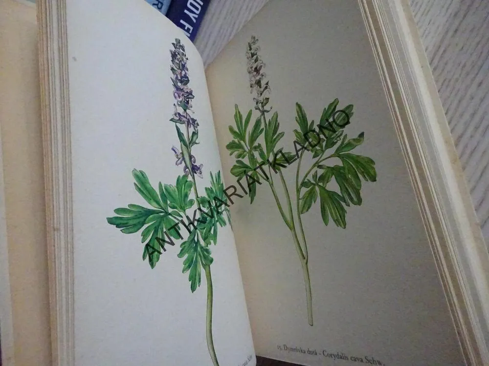 ROSTLINY 1, FRANTIŠEK A. NOVÁK, KAREL SVOLINSKÝ, **an