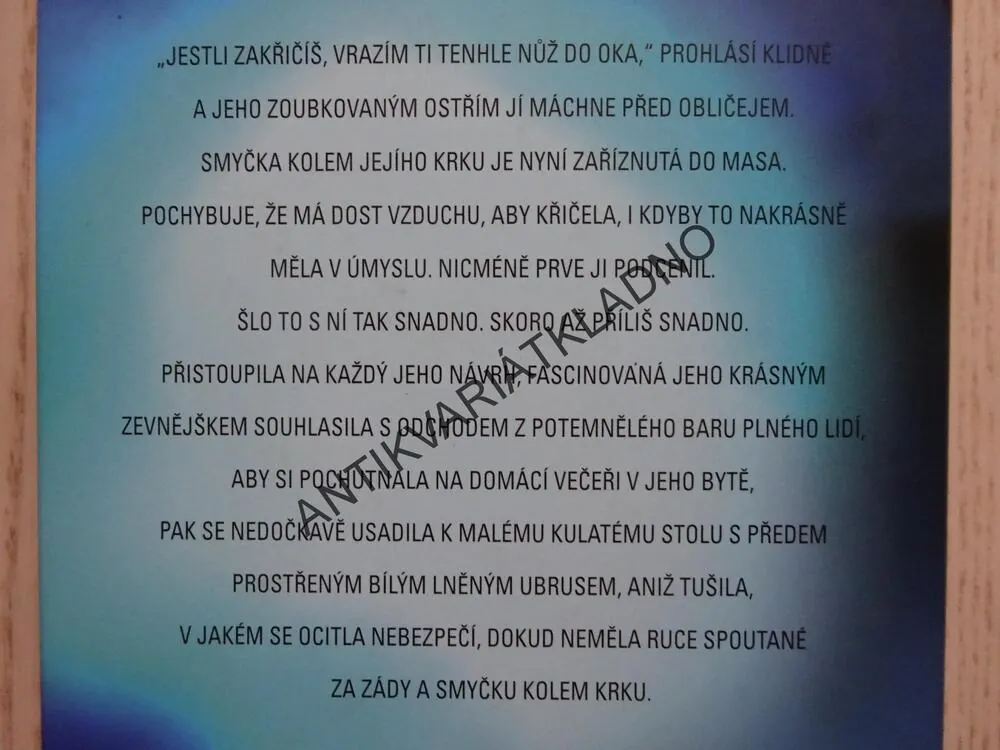 NA ŠPATNÉM MÍSTĚ, JOY FIELDINGOVÁ, **an