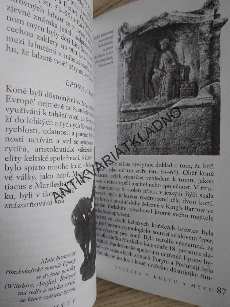 KELTSKÉ MÝTY, MIRANDA JANE GREENOVÁ, **an