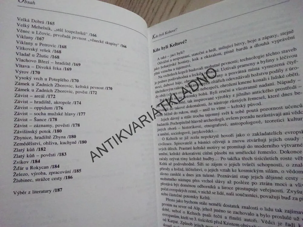 KELTOVÉ V ČECHÁCH, ANNA BAUEROVÁ, **an
