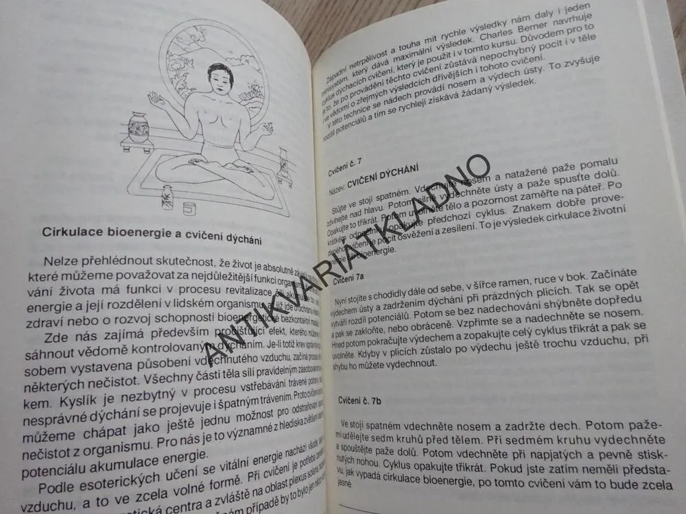 ŠKOLA BIOENERGIE, TAJEMNÁ MAGIE TĚLA I., **an