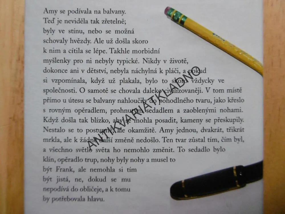 KURZ TVŮRČÍHO PSANÍ, DETEKTIVNÍ ROMÁN, JINCY WILLETTOVÁ, **an