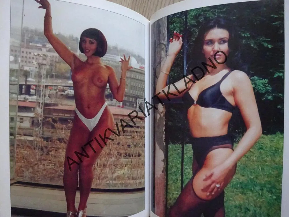 KDEPAK TY PTÁČKU HNÍZDO MÁŠ, PAULA WILD, **an