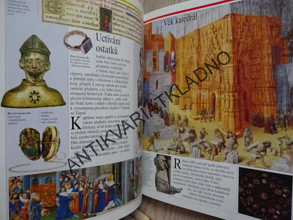 VE STÍNU STŘEDOVĚKÝCH HRADŮ, TÝM AUTORŮ, **an