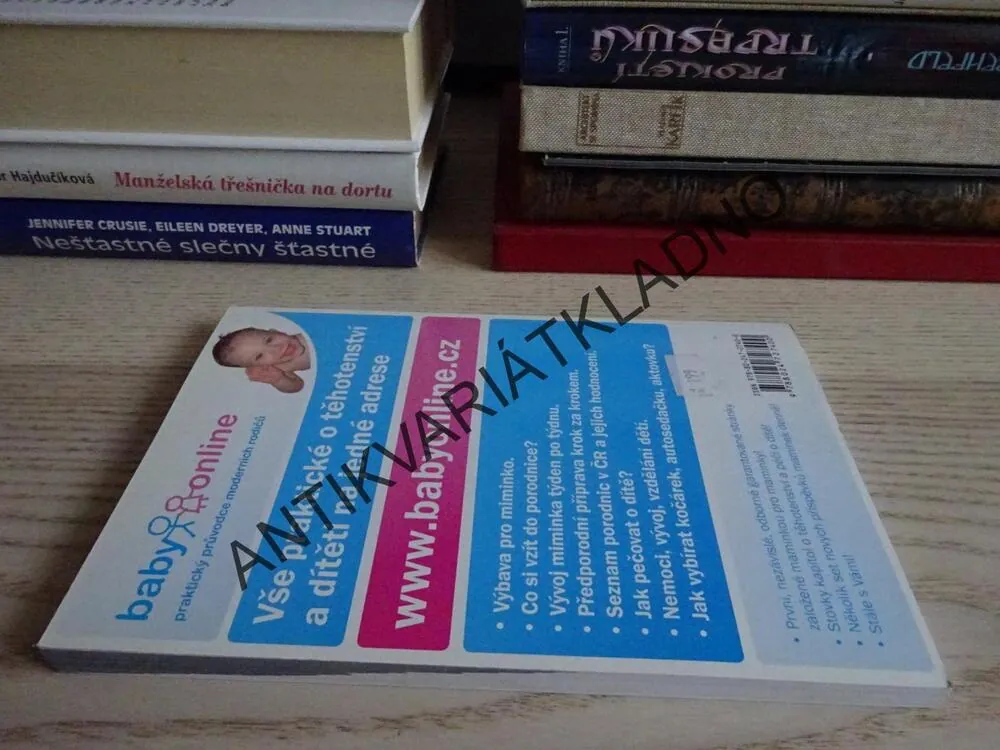 ZDRAVÁ VÝŽIVA PRO TĚHOTNÉ A KOJÍCÍ MATKY, ANNETTE SABERSKY, **an