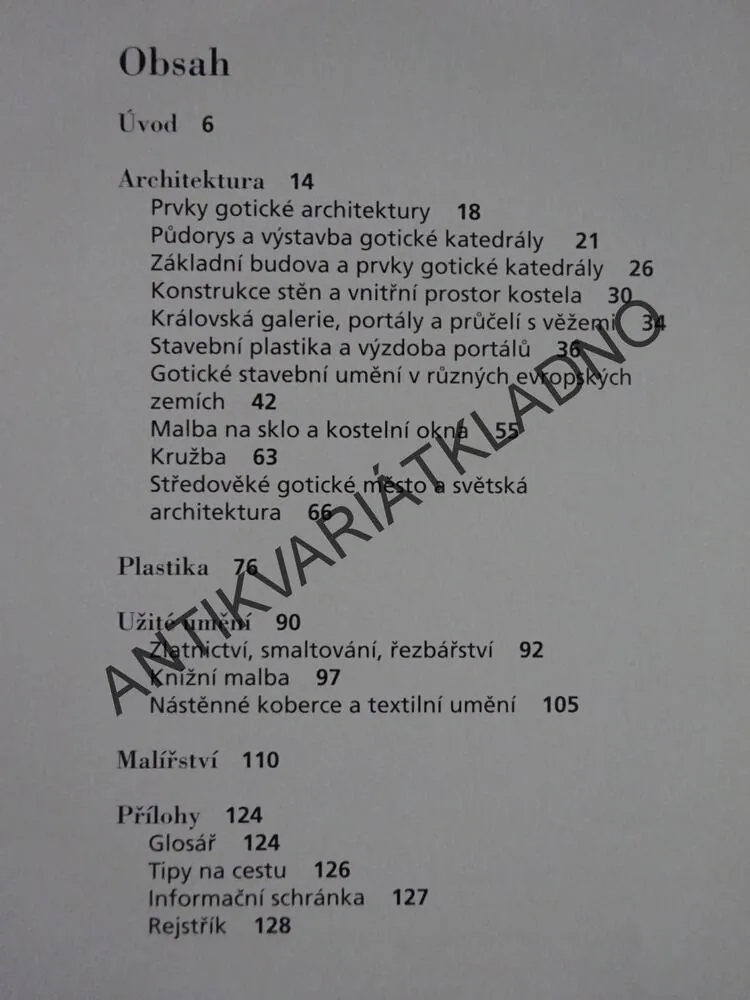 JAK JE POZNÁME?, UMĚNÍ GOTIKY, KARIN SAGNEROVÁ, **an