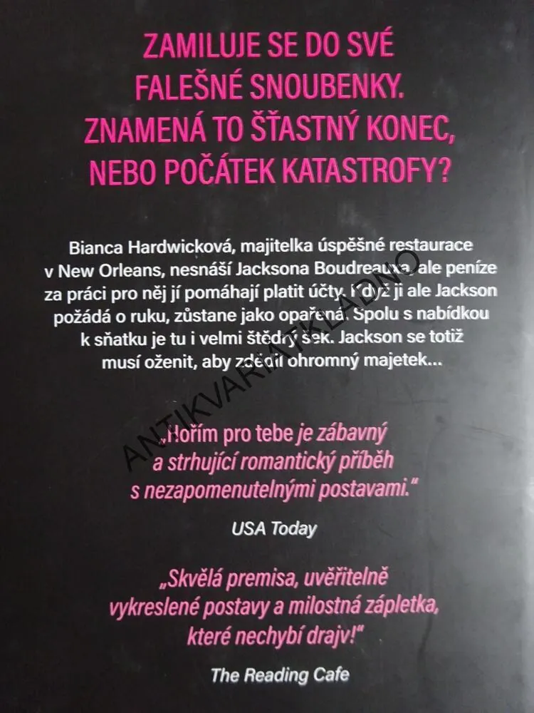 HOŘÍM PRO TEBE, J. T. GEISSINGER, **an