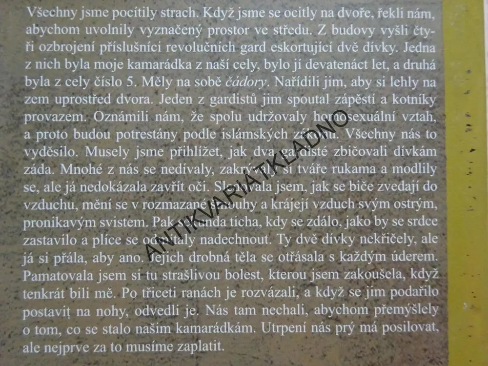 VĚZENKYNĚ Z TEHERÁNU, MÁRÍNA NEMATOVÁ, **an