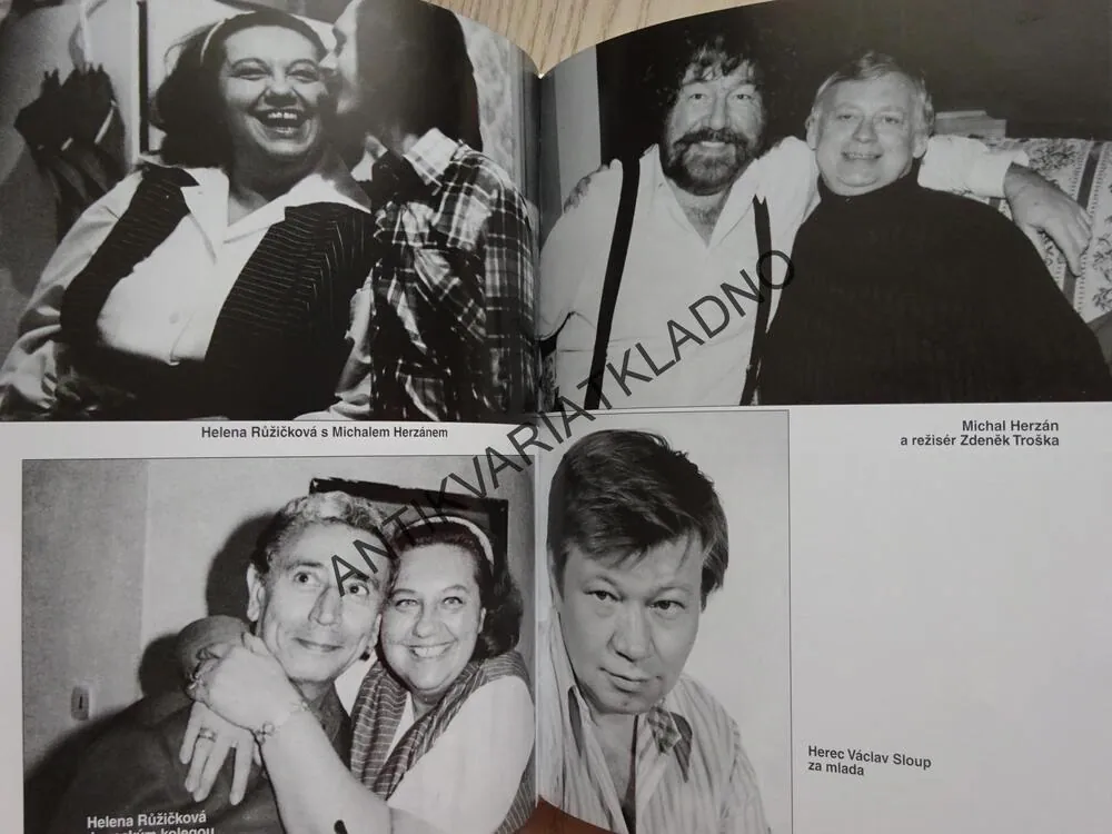 BÁJEČNÁ LÉTA V ŠOUBYZNYSU, MICHAL HERZÁN, MARIE FORMÁČKOVÁ, **an